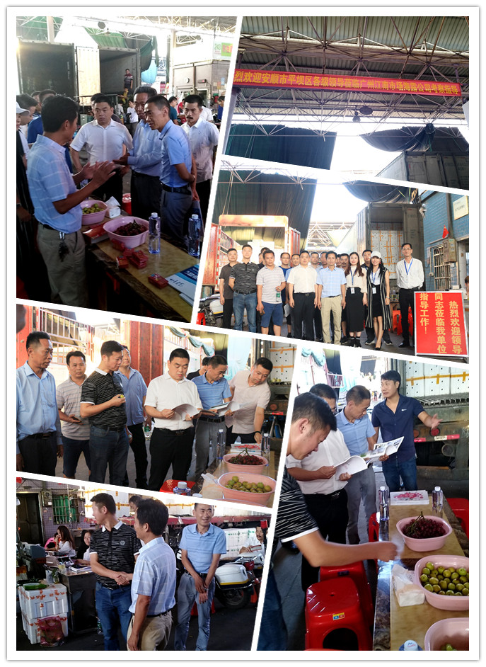 赏金船主·PG(中国游)官方网站