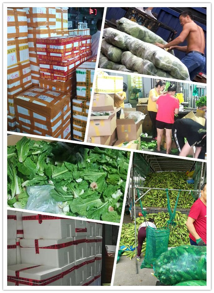 赏金船主·PG(中国游)官方网站