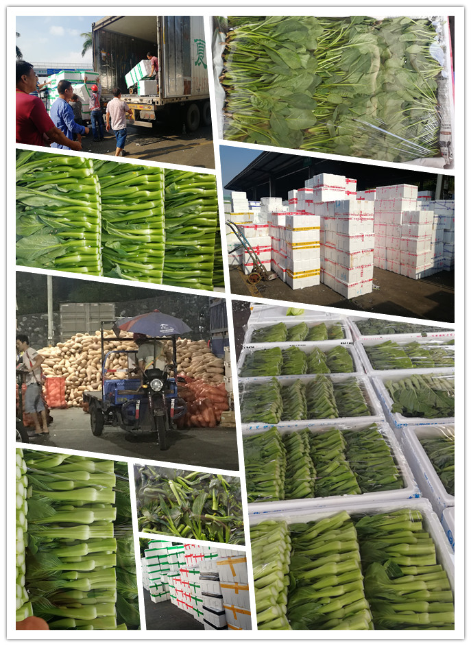 赏金船主·PG(中国游)官方网站