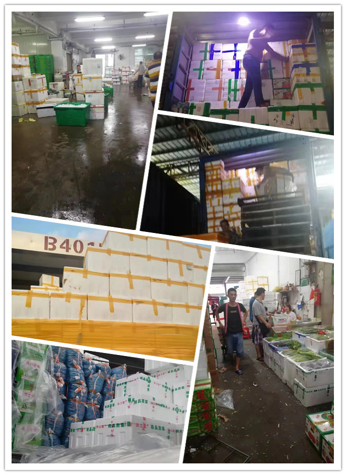 赏金船主·PG(中国游)官方网站