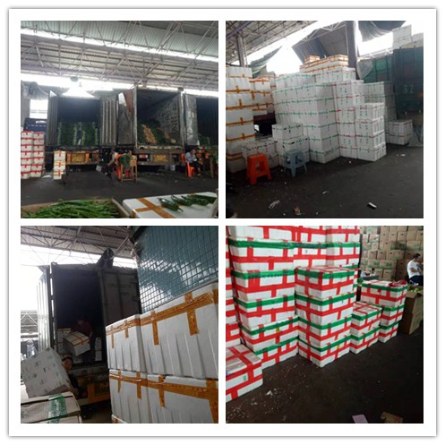 赏金船主·PG(中国游)官方网站