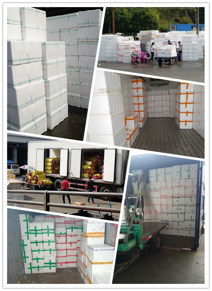 赏金船主·PG(中国游)官方网站