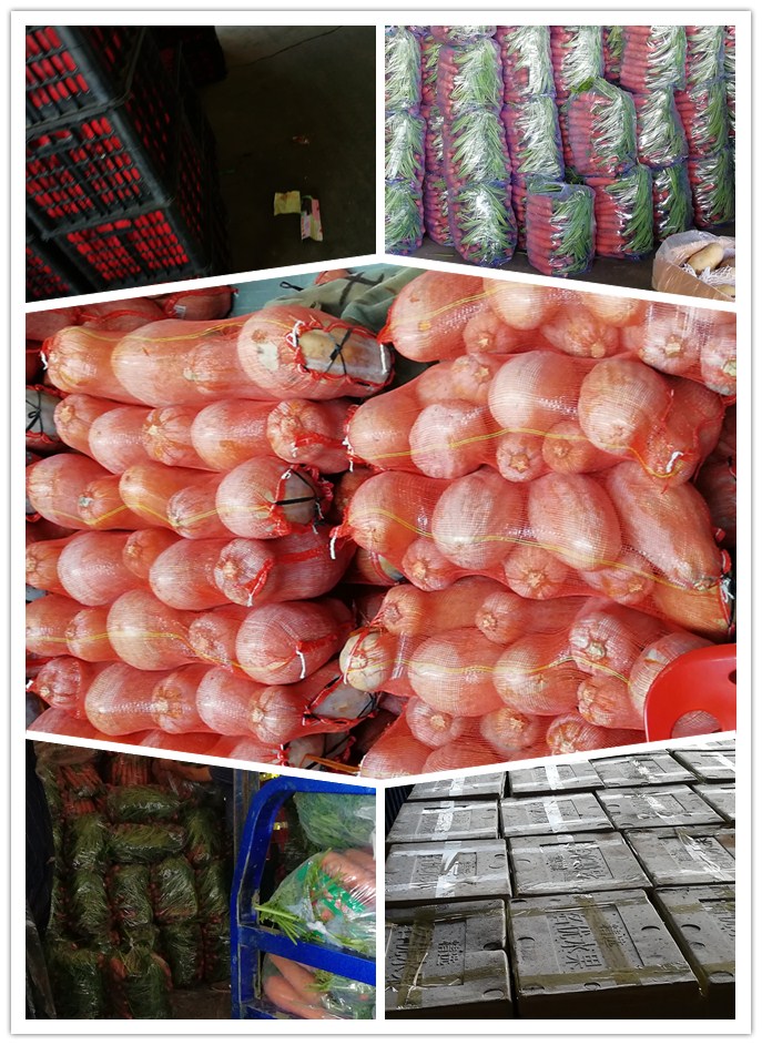 赏金船主·PG(中国游)官方网站