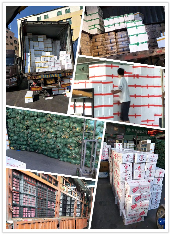 赏金船主·PG(中国游)官方网站