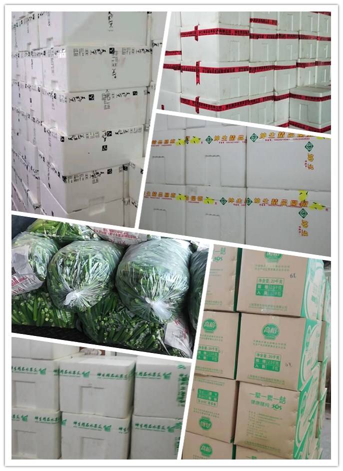 赏金船主·PG(中国游)官方网站