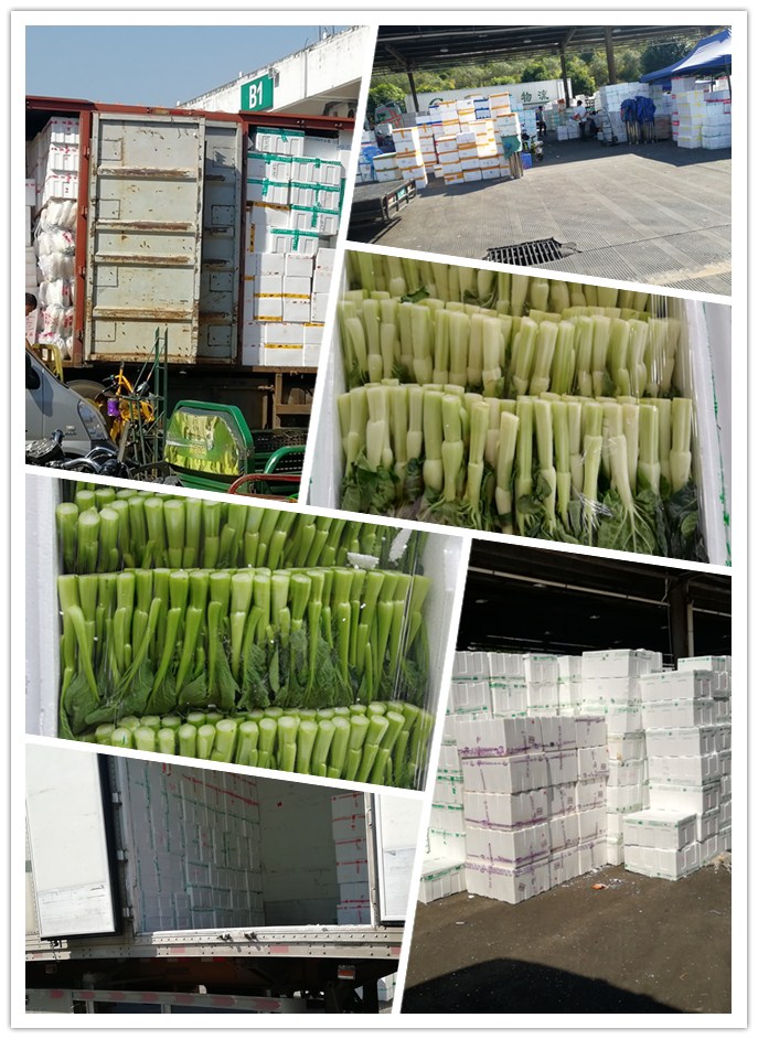 赏金船主·PG(中国游)官方网站