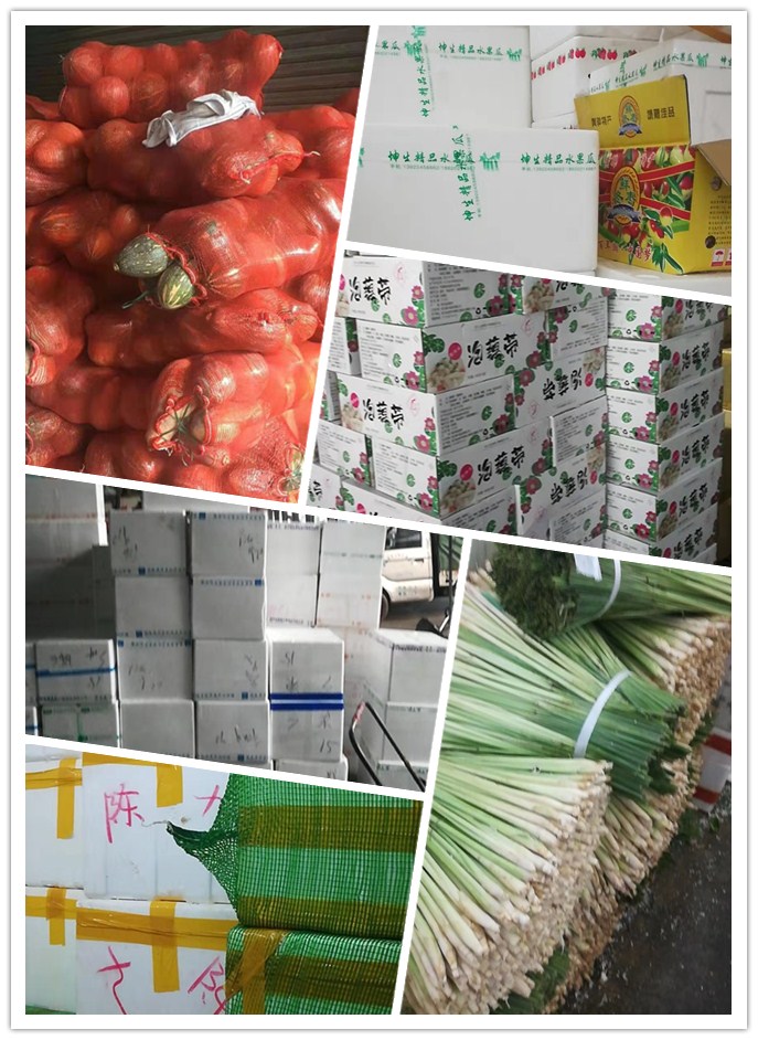 赏金船主·PG(中国游)官方网站