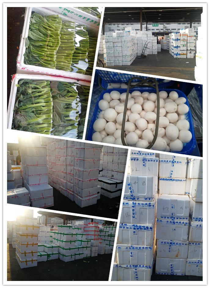 赏金船主·PG(中国游)官方网站