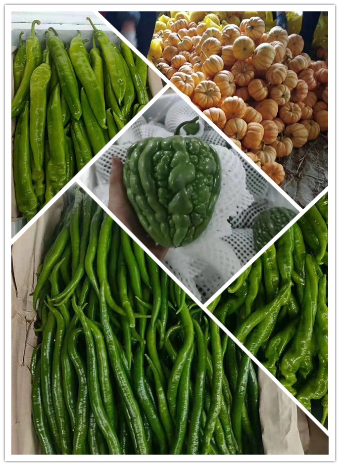 赏金船主·PG(中国游)官方网站