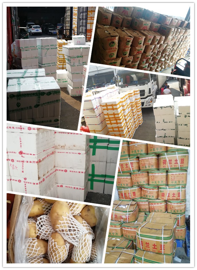 赏金船主·PG(中国游)官方网站