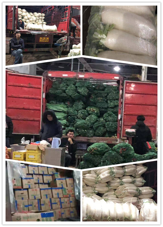 赏金船主·PG(中国游)官方网站