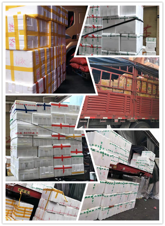 赏金船主·PG(中国游)官方网站