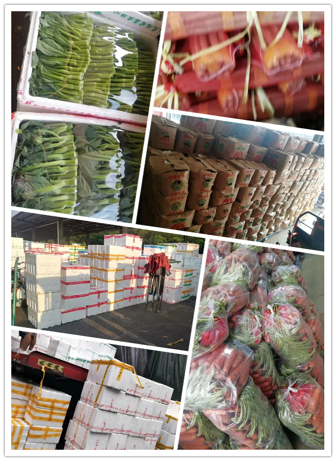 赏金船主·PG(中国游)官方网站