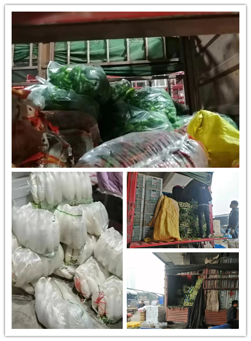 赏金船主·PG(中国游)官方网站