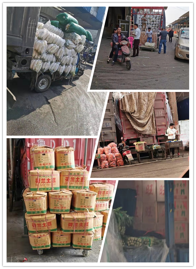 赏金船主·PG(中国游)官方网站