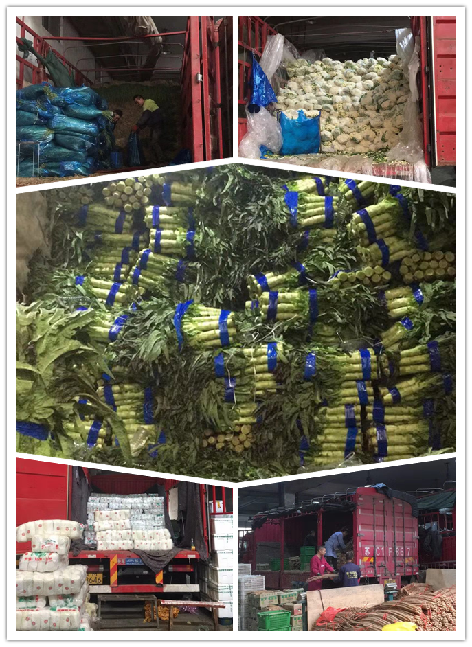 赏金船主·PG(中国游)官方网站