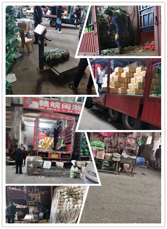 赏金船主·PG(中国游)官方网站