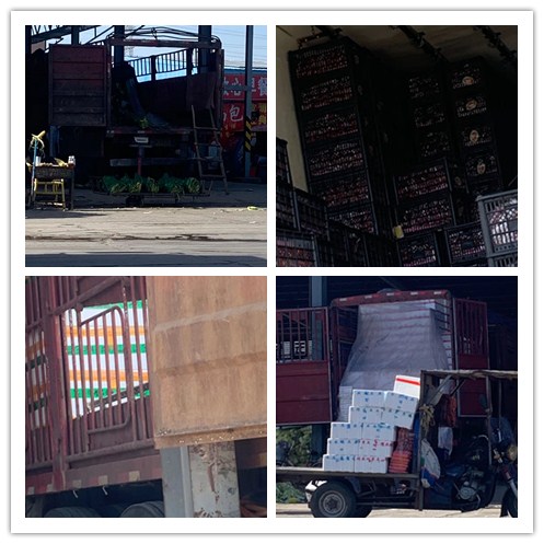 赏金船主·PG(中国游)官方网站