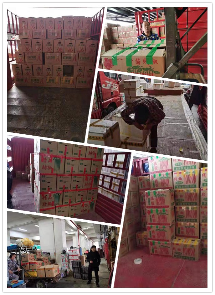 赏金船主·PG(中国游)官方网站