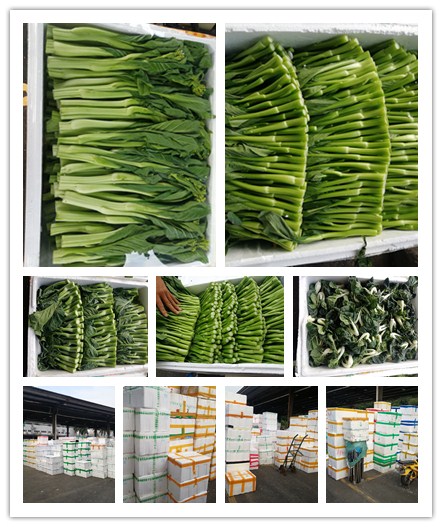 赏金船主·PG(中国游)官方网站