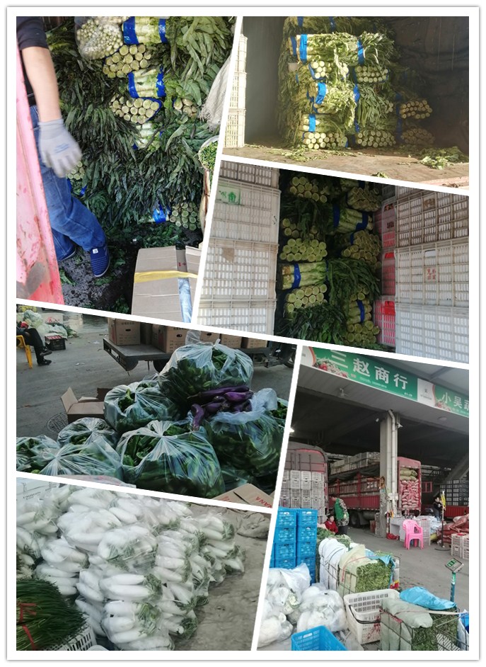 赏金船主·PG(中国游)官方网站