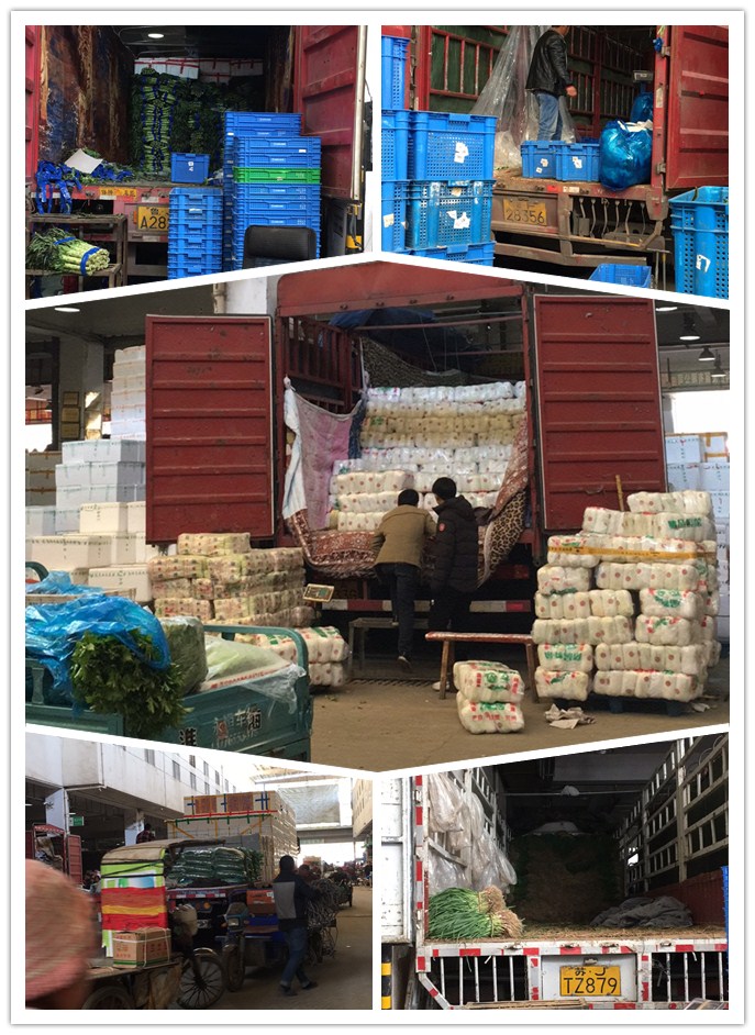 赏金船主·PG(中国游)官方网站