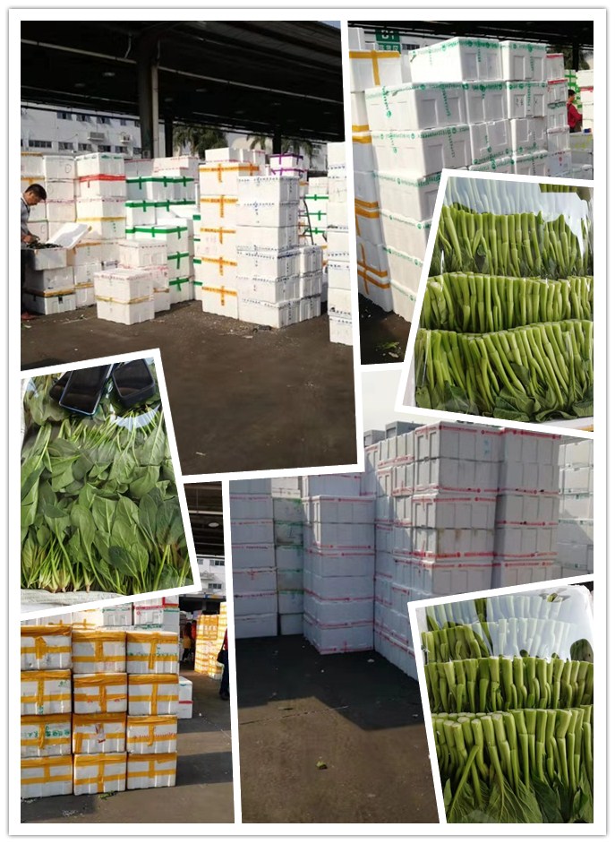 赏金船主·PG(中国游)官方网站