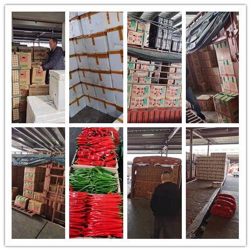 赏金船主·PG(中国游)官方网站