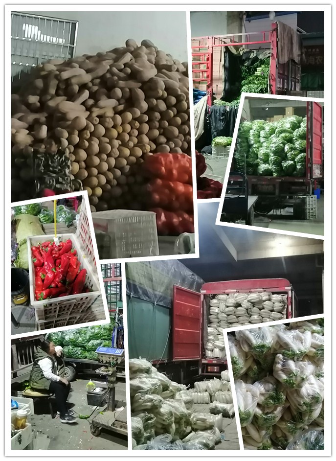 赏金船主·PG(中国游)官方网站