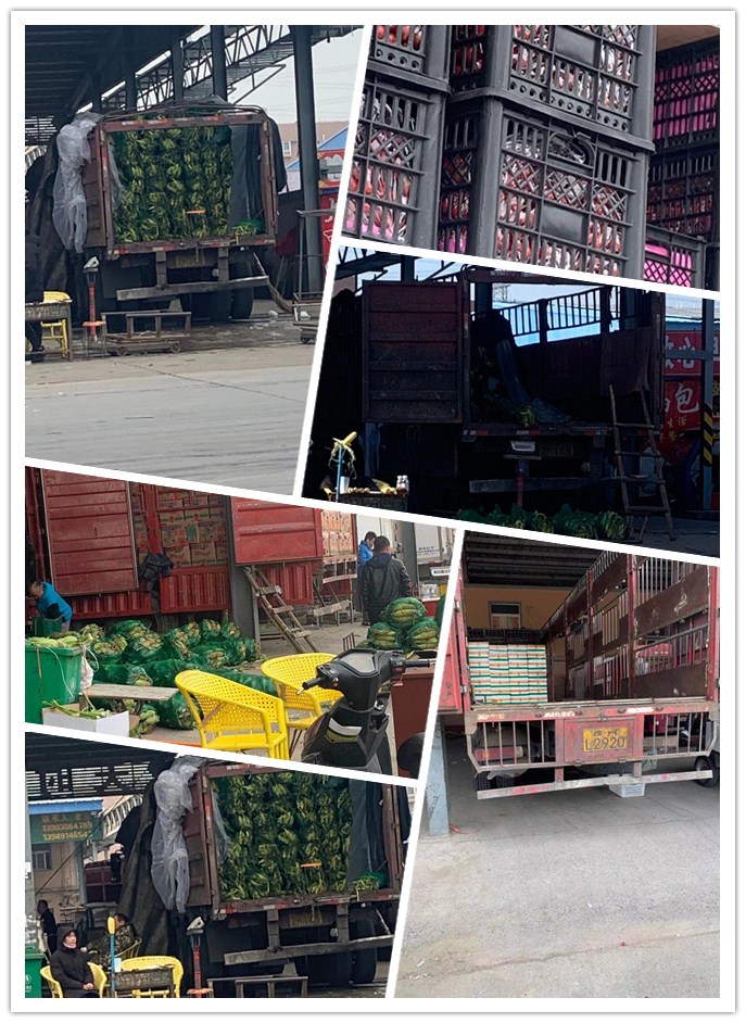 赏金船主·PG(中国游)官方网站