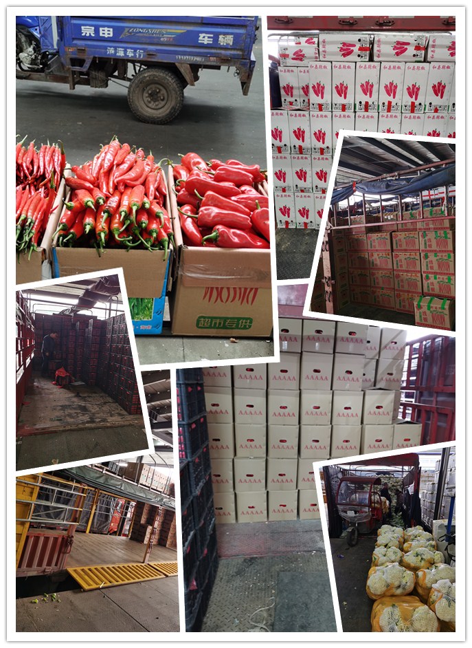 赏金船主·PG(中国游)官方网站