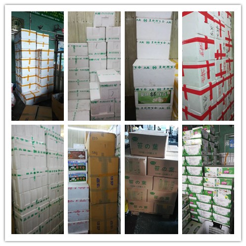 赏金船主·PG(中国游)官方网站