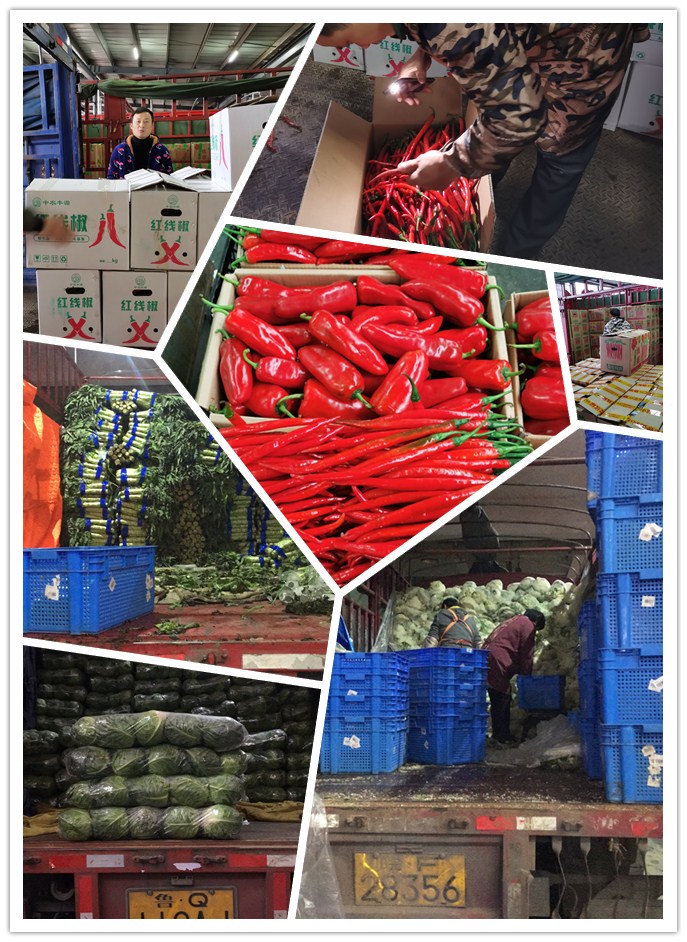 赏金船主·PG(中国游)官方网站