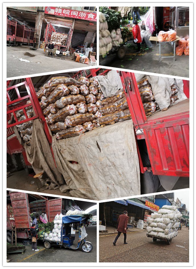 赏金船主·PG(中国游)官方网站