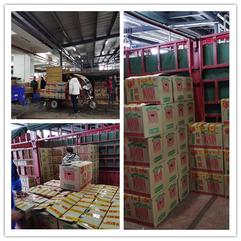 赏金船主·PG(中国游)官方网站