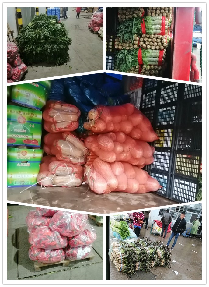 赏金船主·PG(中国游)官方网站