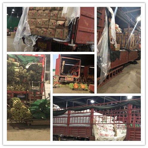 赏金船主·PG(中国游)官方网站