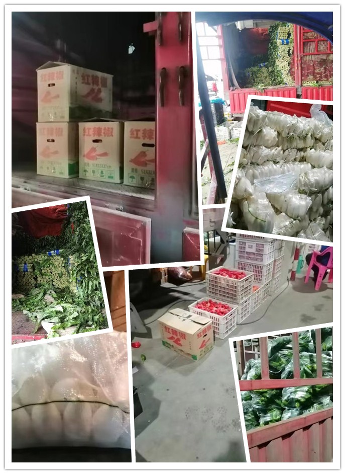 赏金船主·PG(中国游)官方网站