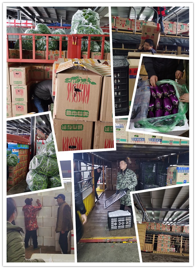 赏金船主·PG(中国游)官方网站