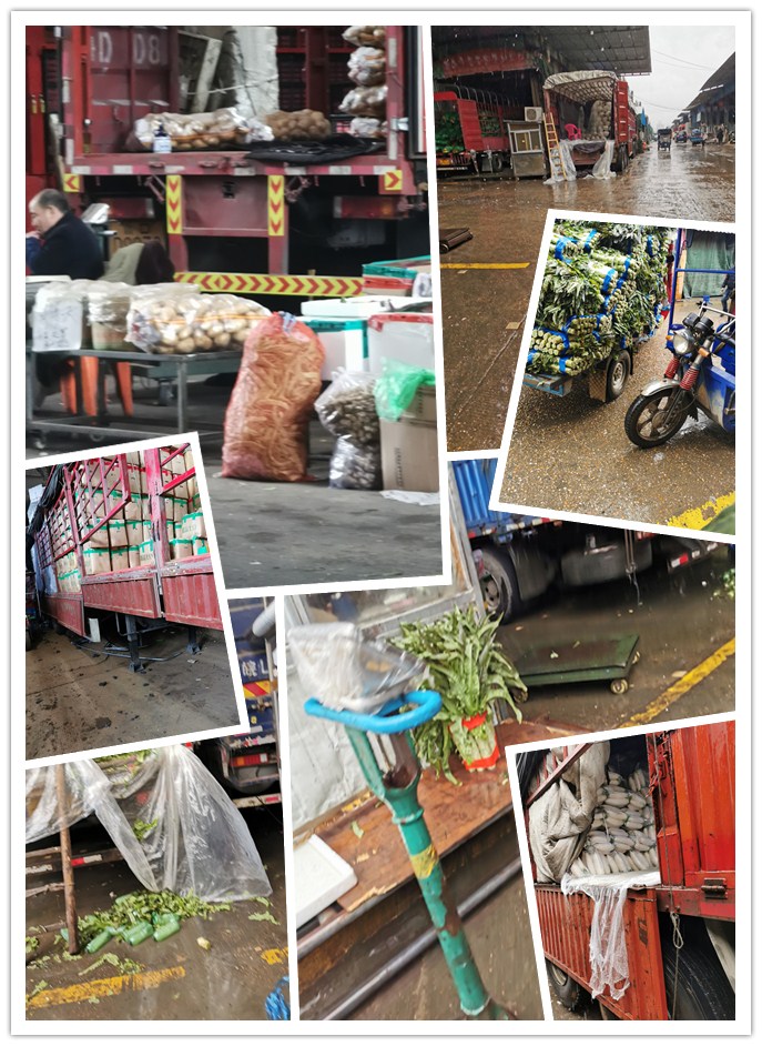 赏金船主·PG(中国游)官方网站