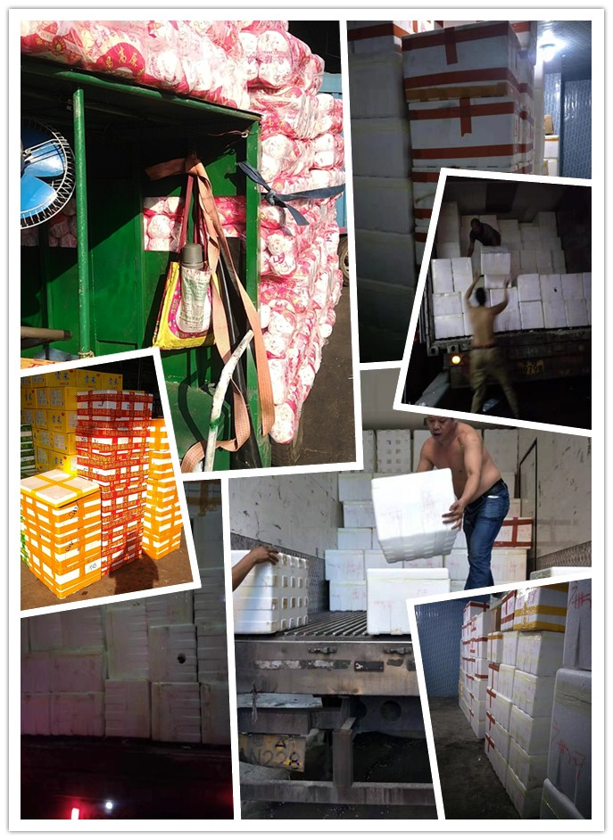 赏金船主·PG(中国游)官方网站