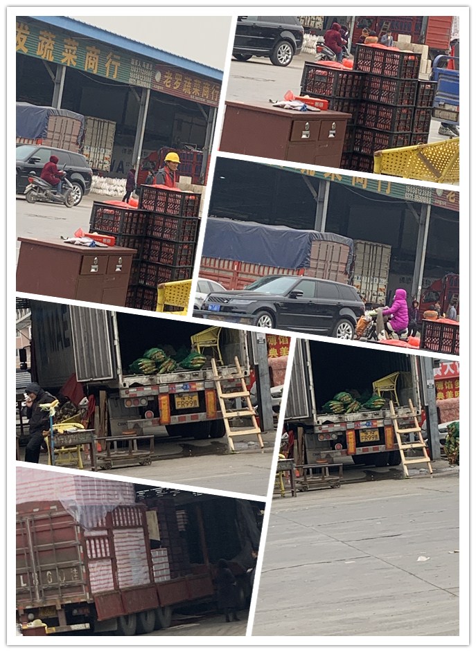 赏金船主·PG(中国游)官方网站