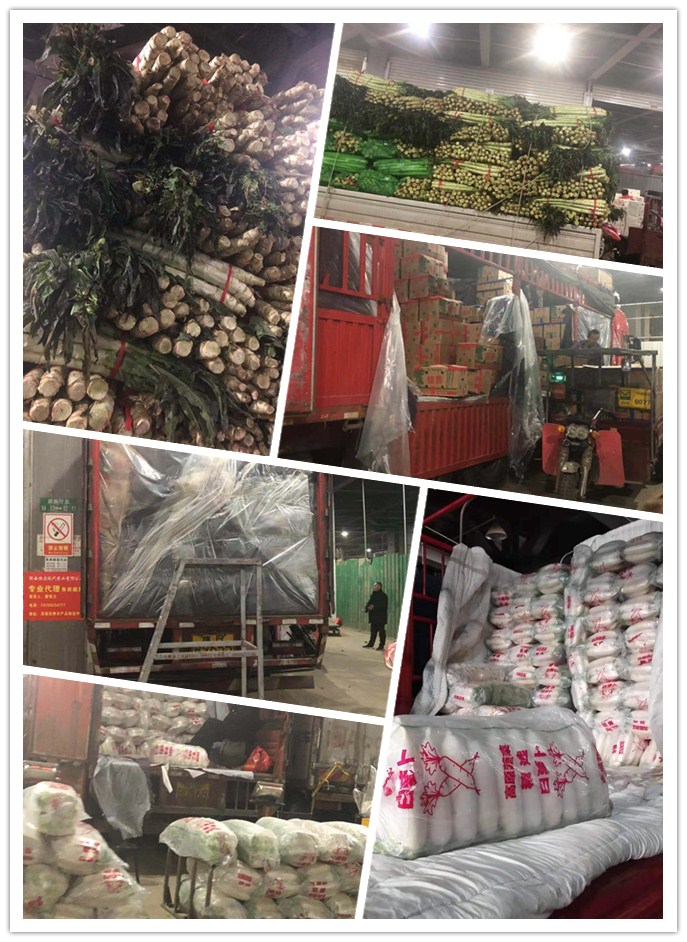 赏金船主·PG(中国游)官方网站