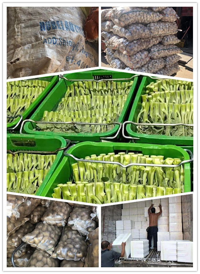 赏金船主·PG(中国游)官方网站