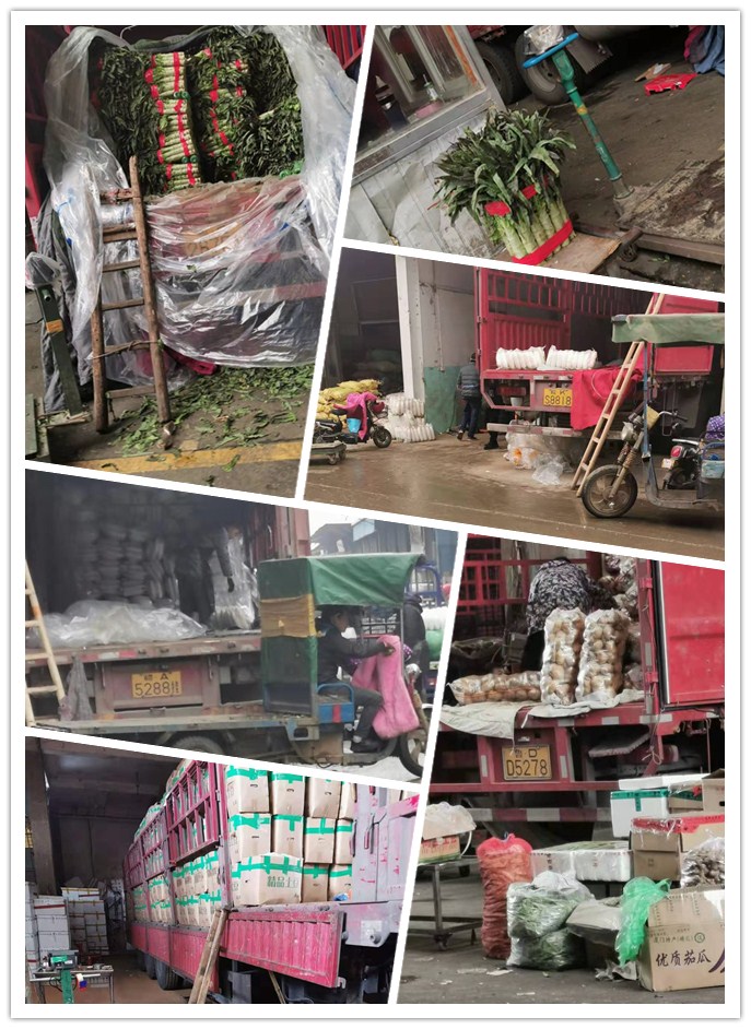 赏金船主·PG(中国游)官方网站