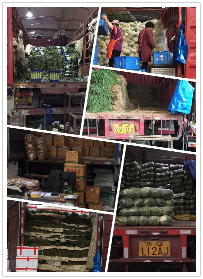 赏金船主·PG(中国游)官方网站