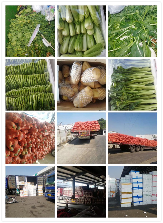 赏金船主·PG(中国游)官方网站