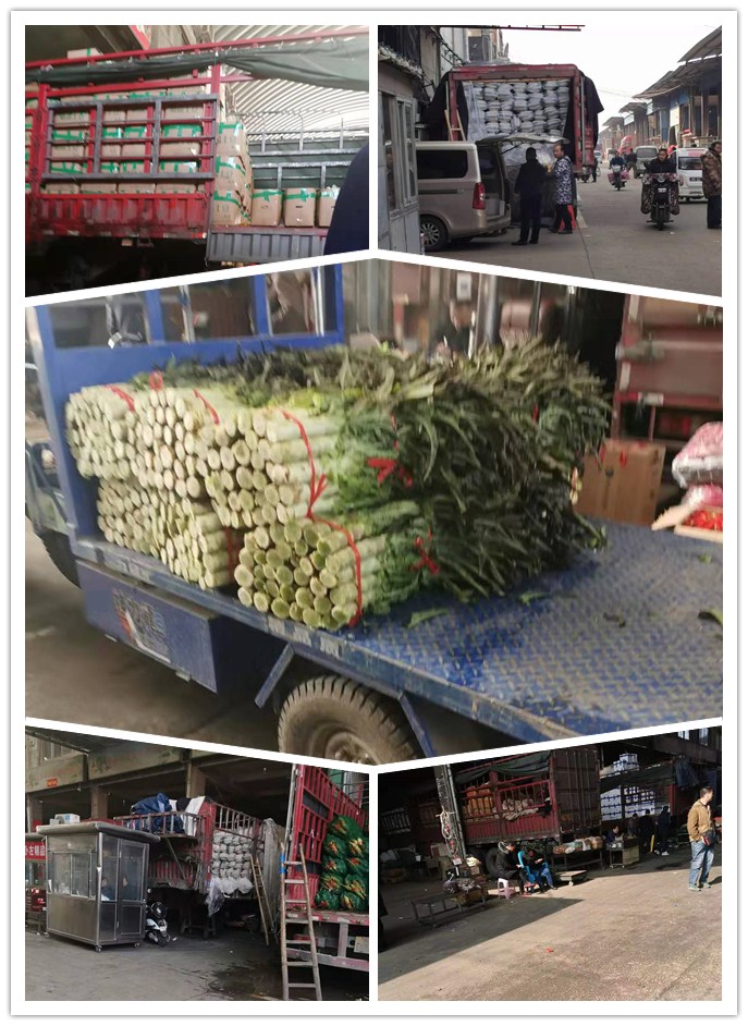 赏金船主·PG(中国游)官方网站