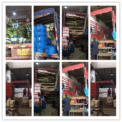 赏金船主·PG(中国游)官方网站