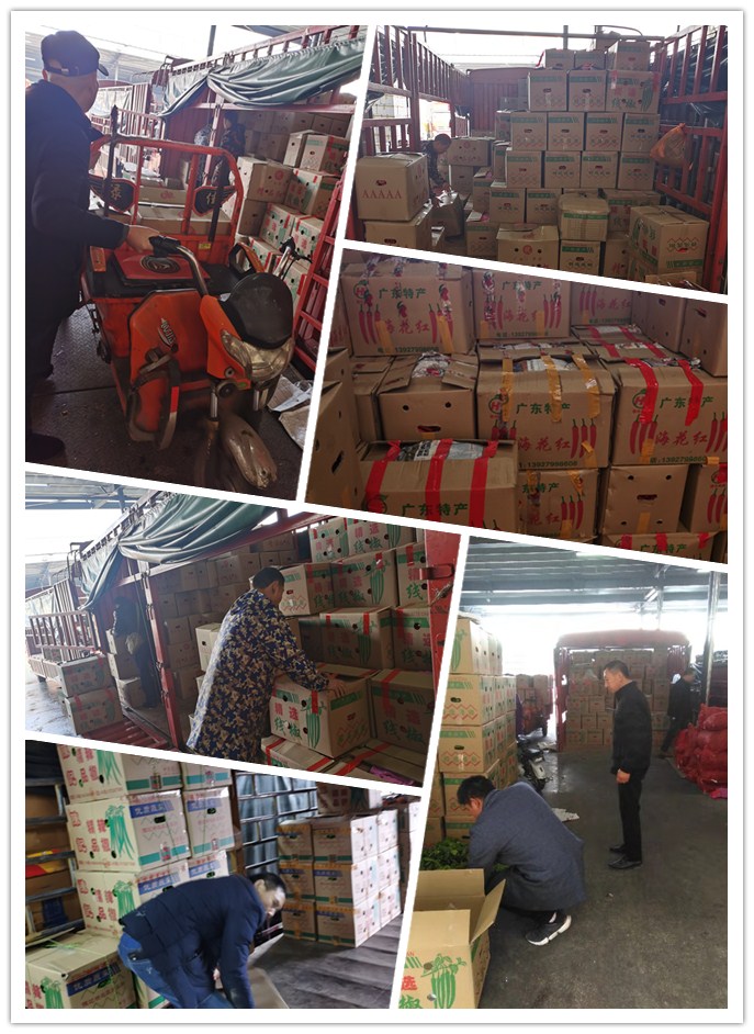 赏金船主·PG(中国游)官方网站